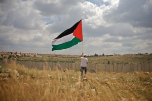 Palestine Free